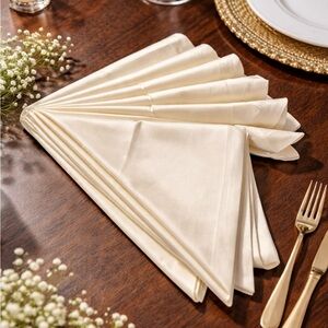 Elegant Cream 6 Napkin Set